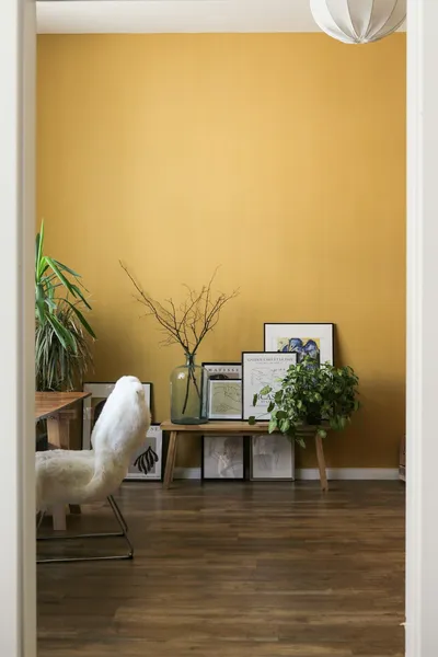 Revitalize Your Living Room for Under $100Illustration