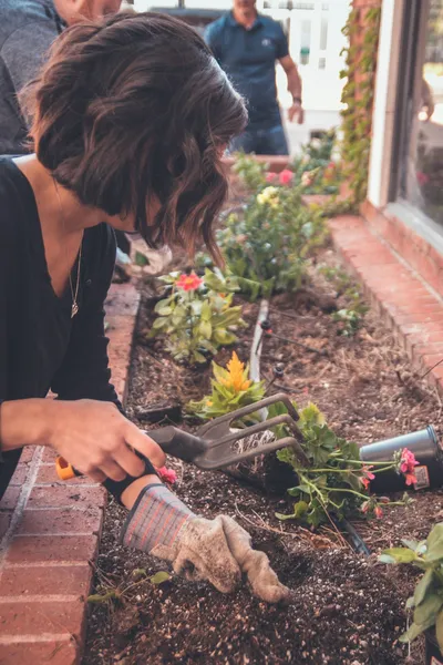 DIY Garden Transformation: Turn Your Yard into a Cozy OasisIllustration