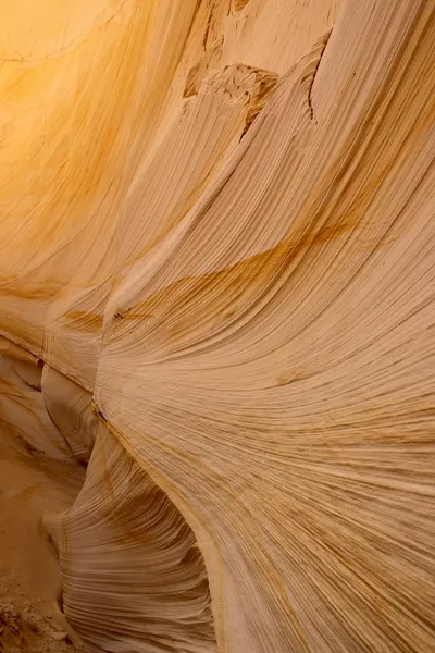 Crafting with Nature: DIY Projects Using Natural MaterialsIllustration
