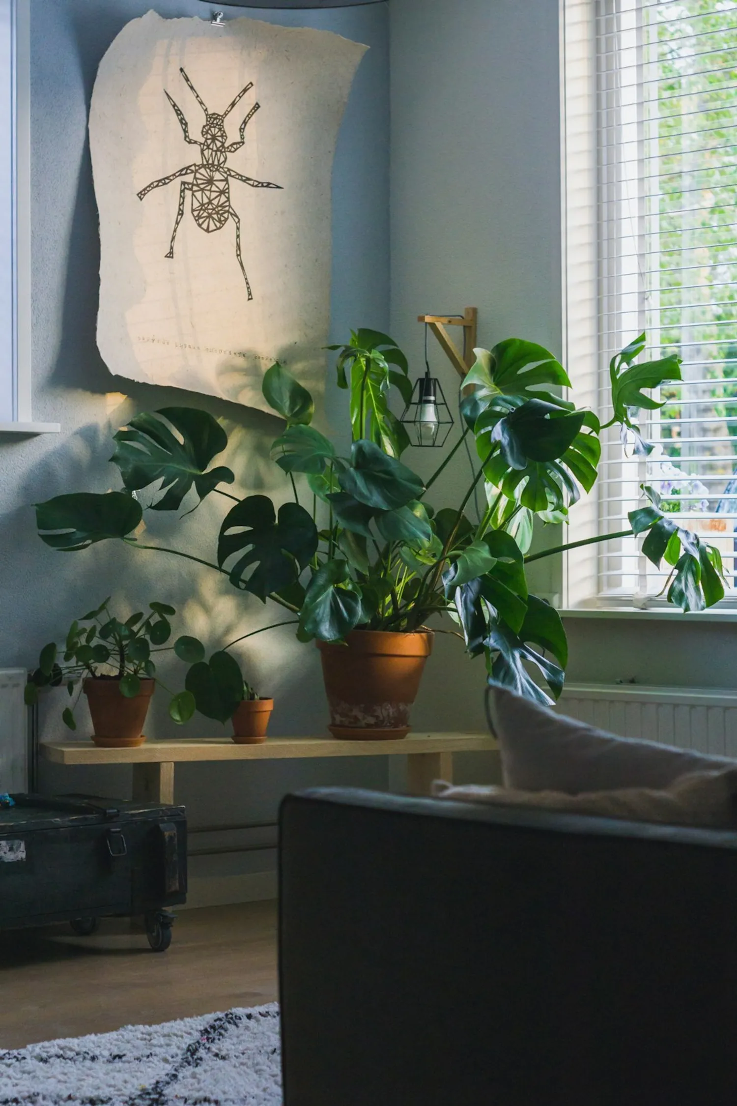 Creating Calming Bedrooms with Smart Plant Decor Photo
