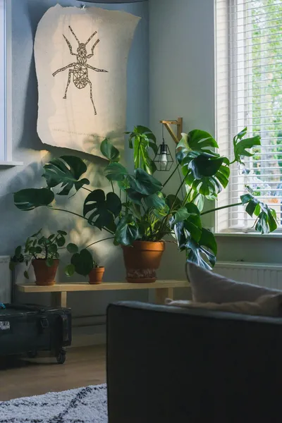 Creating Calming Bedrooms with Smart Plant DecorIllustration